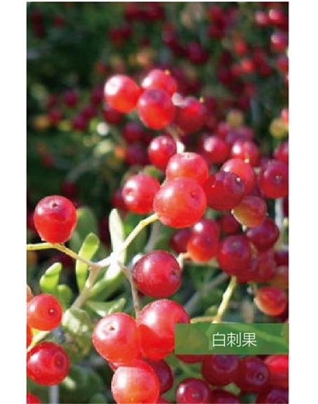 標(biāo)題：名貴樹種
瀏覽次數(shù)：1493
發(fā)表時間：2020-10-17